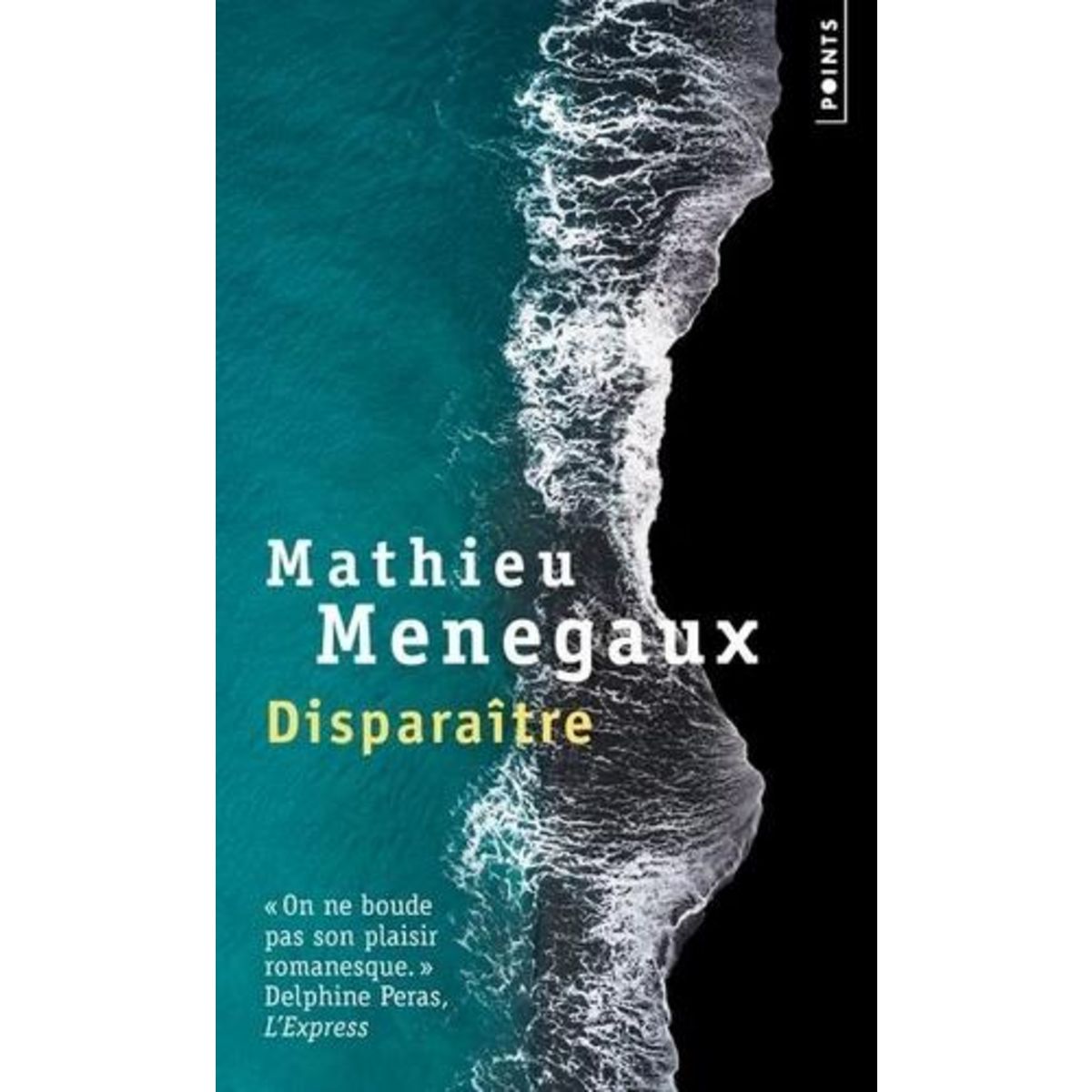 DISPARAITRE, Menegaux Mathieu