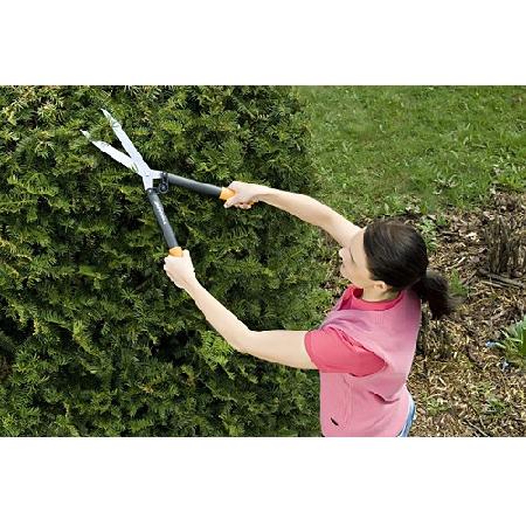 Voir la diapositive 2 : FISKARS Cisaille à haies