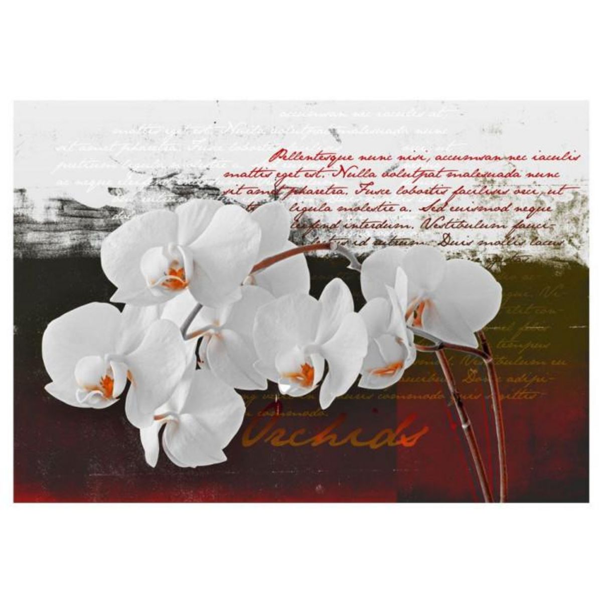 Paris Prix Papier Peint  Diary & Orchid