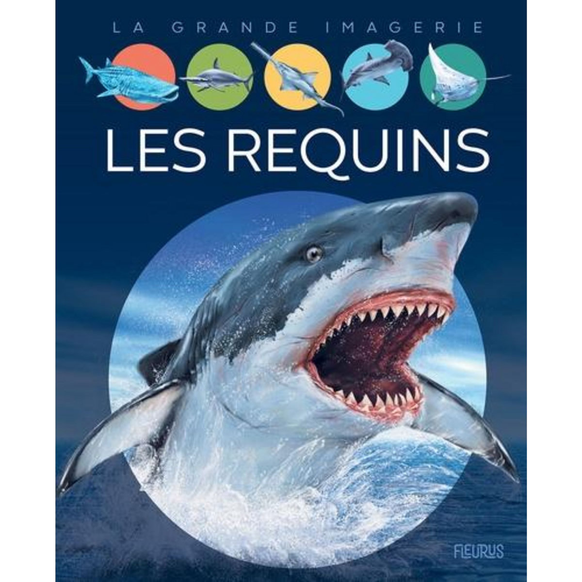 LES REQUINS, Franco Cathy