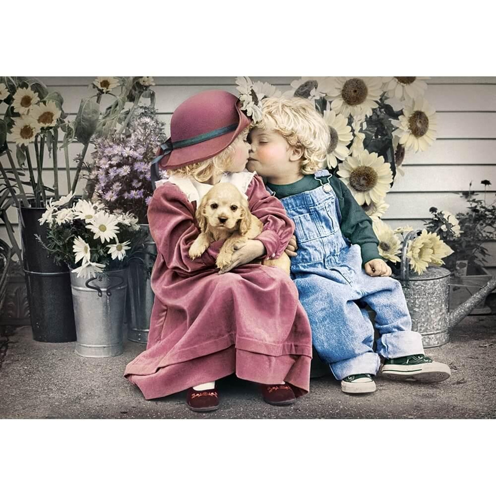 Castorland Puzzle 1000 pièces : Premier amour