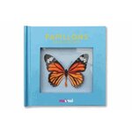 PAPILLONS, Hawcock David