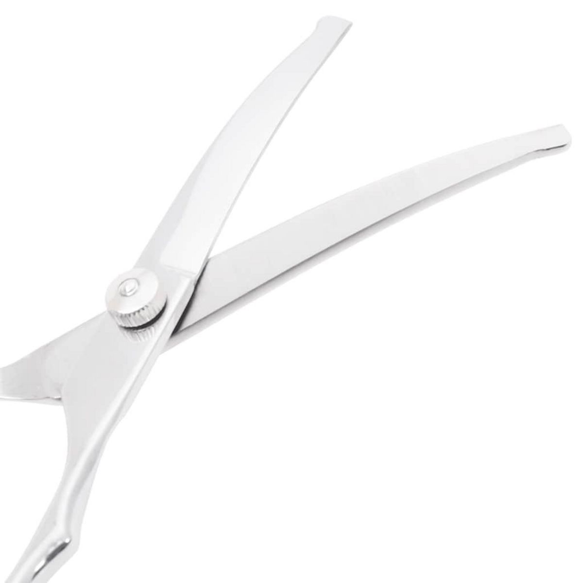 VIDAXL Ensemble de ciseaux de toilettage pour chien 4 pcs