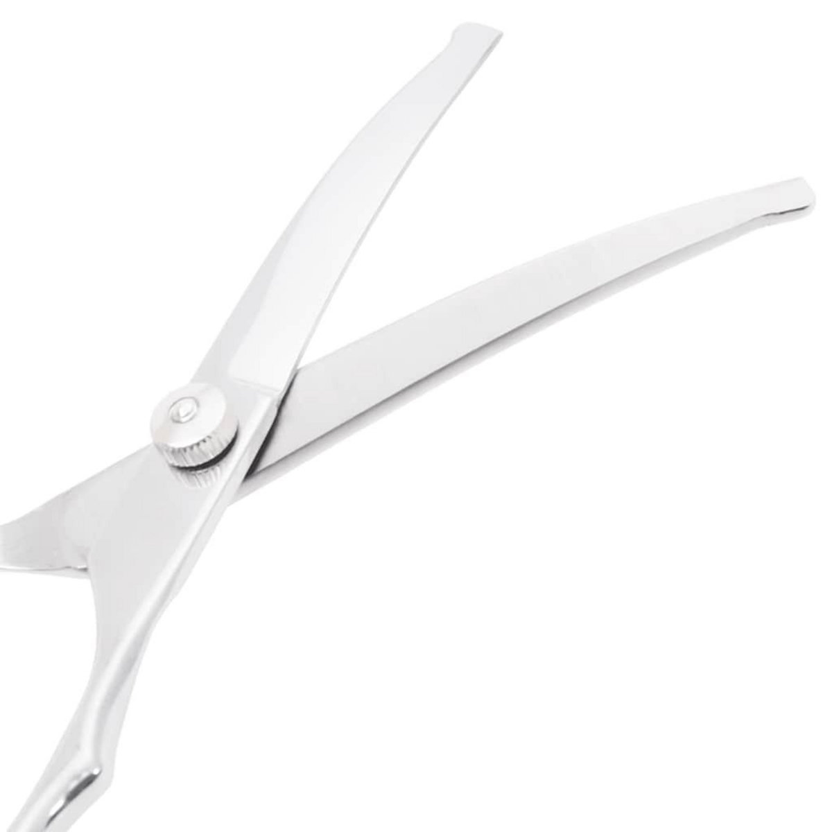 VIDAXL Ensemble de ciseaux de toilettage pour chien 4 pcs