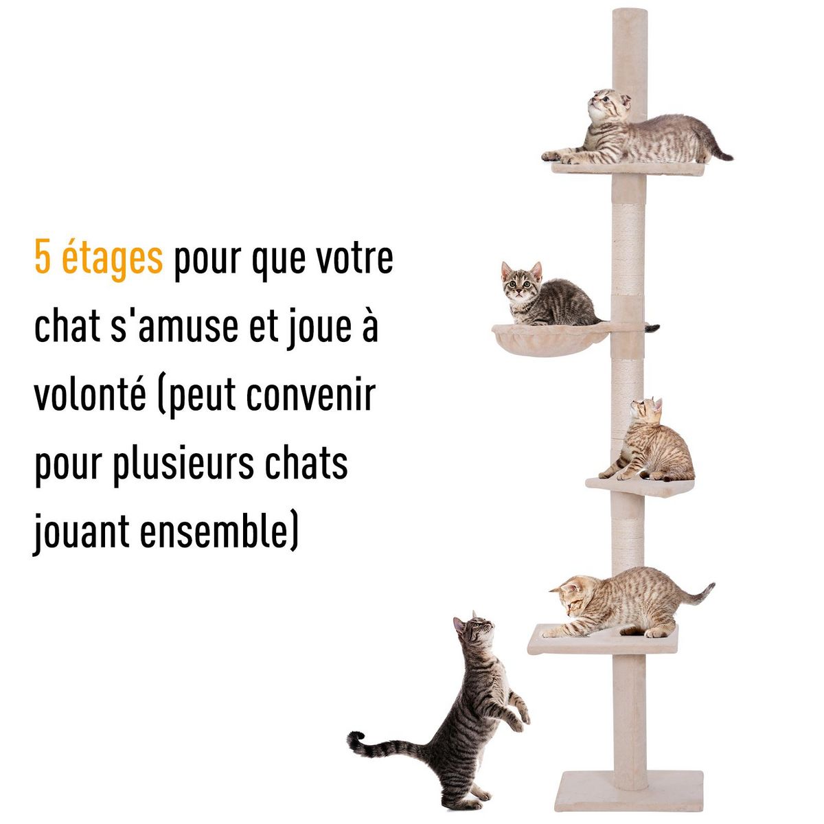 PAWHUT Arbre à chat poteau à griffer L40 x l 34 x H 230-260 cm 5 niveaux d'activités beige
