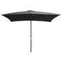 Voir la diapositive 1 : VIDAXL Parasol d'exterieur avec mat en bois 200x300 cm anthracite