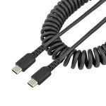 Startech Câble USB spiralé Startech R2CCC-50C-USB-CABLE 50 cm noir