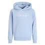 Voir la diapositive 5 : Jack & Jones Sweat  Clair Homme Jack & Jones Makoto