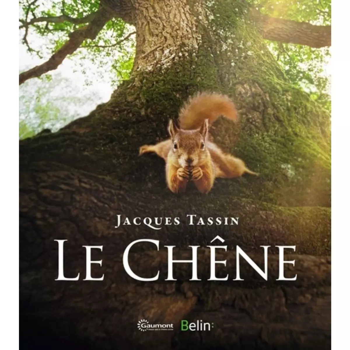  LE CHENE, Tassin Jacques