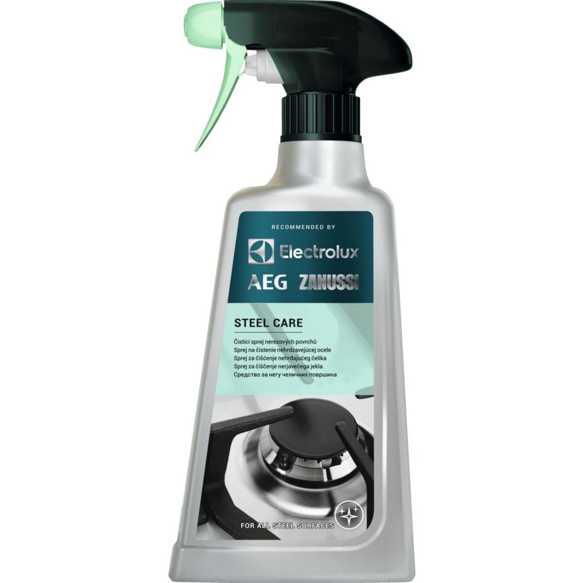 Spray nettoyant et protecteur professionnel : spécial Inox
