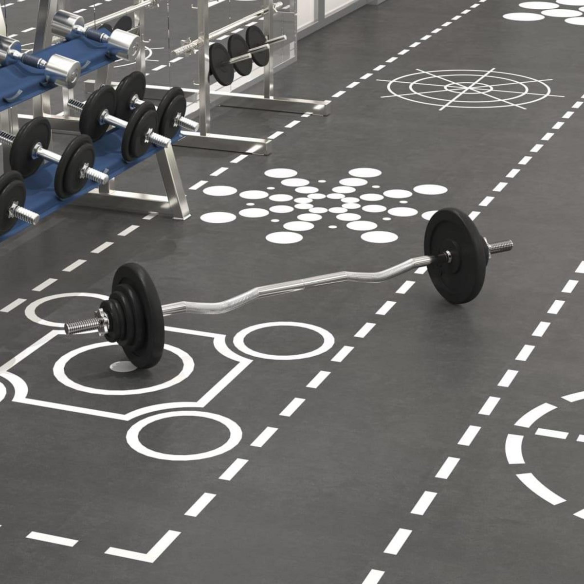 VIDAXL Ensemble d'halteres avec plaques 30 kg fonte et acier chrome