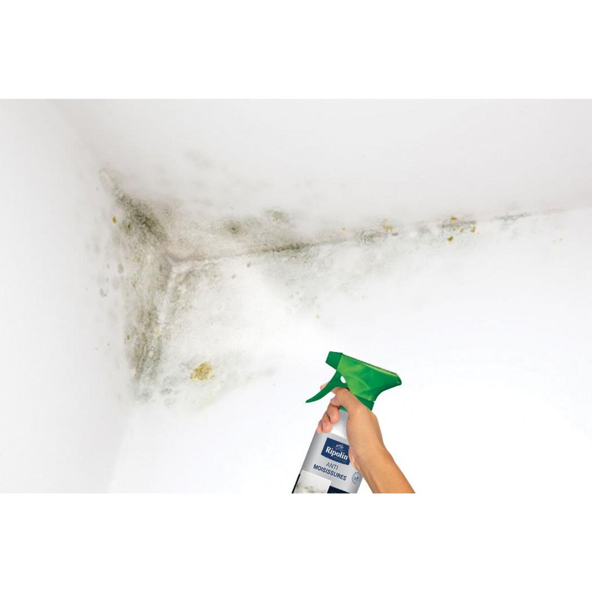 CENTRALE BRICO Produit anti-moisissures Rip etanch, RIPOLIN incolore 0.5 l