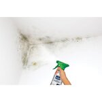 CENTRALE BRICO Produit anti-moisissures Rip etanch, RIPOLIN incolore 0.5 l