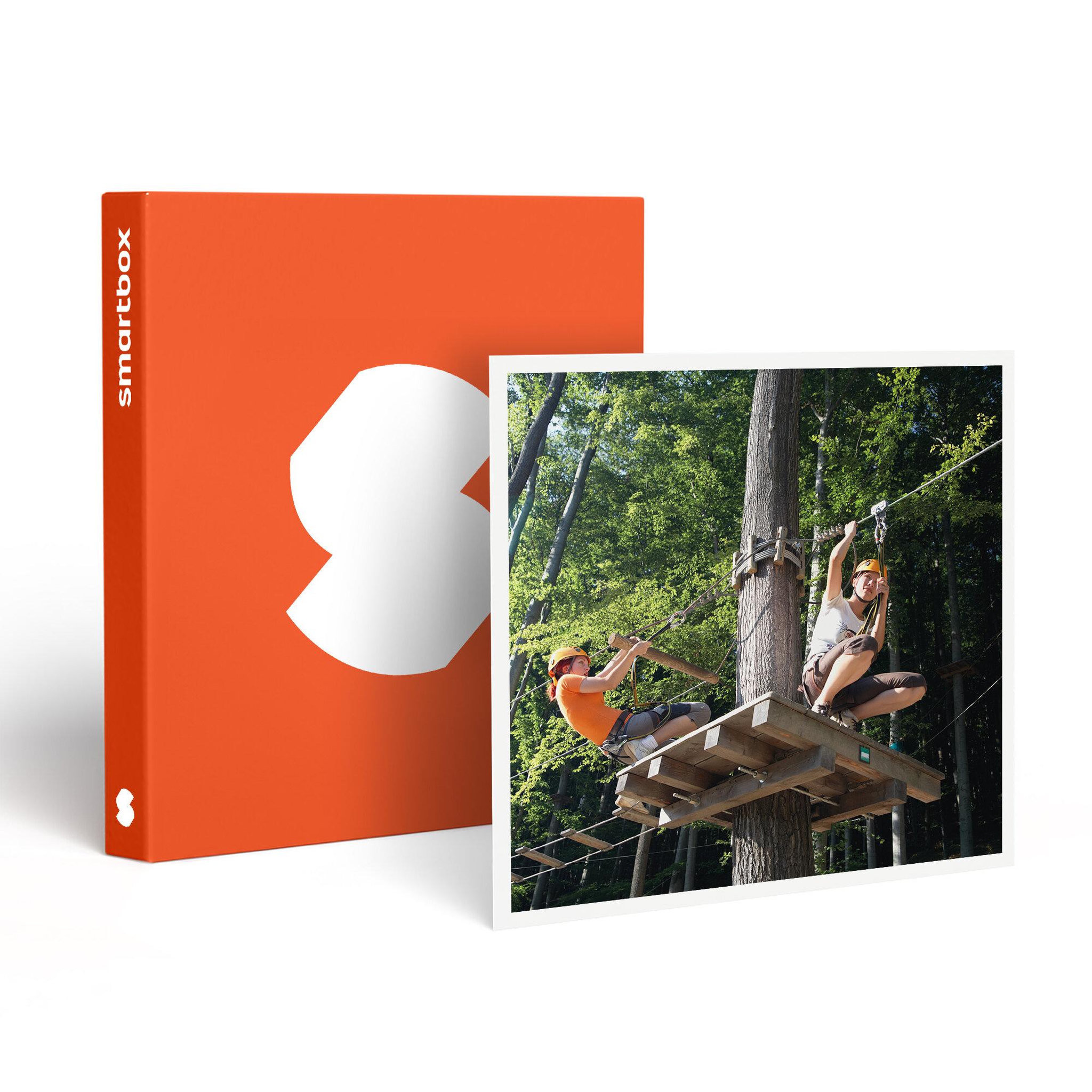 Smartbox Aventure dans les arbres : ponts & ziplines pour tous - coffret cadeau sport & aventure