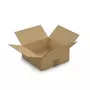 RAJA 5 cartons d'emballage 25 x 25 x 10 cm - Simple cannelure
