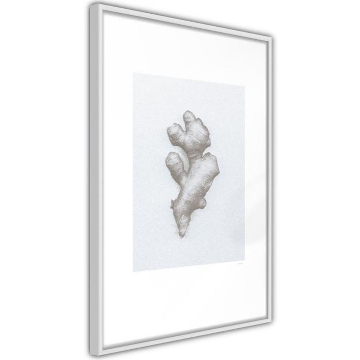 Paris Prix Affiche Murale Encadrée  Ginger Rhizome