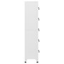 Voir la diapositive 3 : VIDAXL Armoire a casiers Blanc 38x40x180 cm Acier