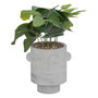 Voir la diapositive 1 : ATMOSPHERA Plante Artificielle en Pot  Visage  26cm Gris