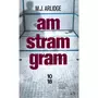  AM STRAM GRAM, Arlidge M. J.