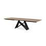 Voir la diapositive 3 : LISA DESIGN Capriccio - table à manger - extensible - bois et noir - 4 à 10 personnes - noir / bois