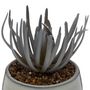 Voir la diapositive 2 : ATMOSPHERA Plante Artificielle en Pot  Grès  18cm Gris