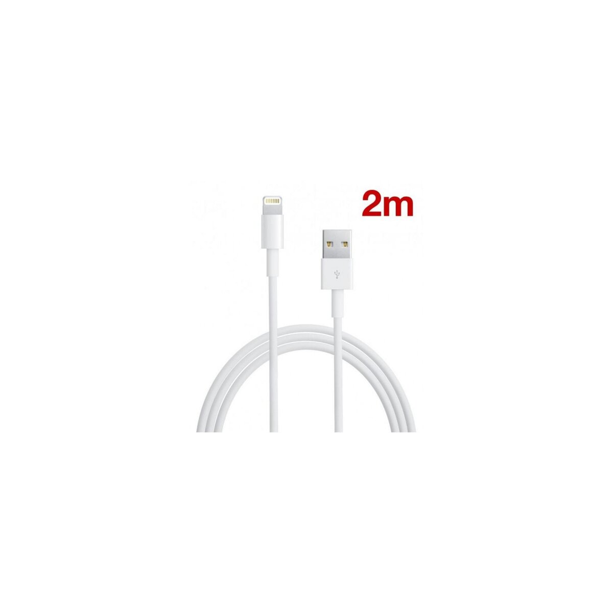  Câble Lightning 2 mètres pour iPhone X/ XS Origine Apple