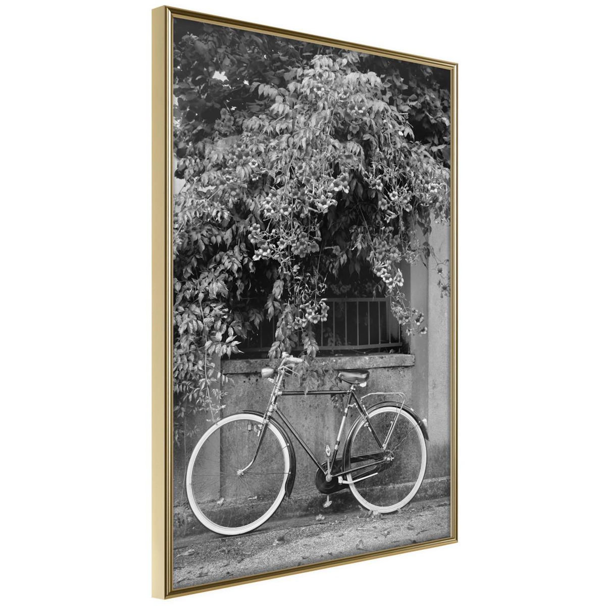 Paris Prix Affiche Murale Encadrée  Bicycle with White Tires