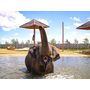 Voir la diapositive 3 : Smartbox Tanière Zoo Refuge : visite guidée VIP à la découverte des animaux pour 2 personnes - Coffret Cadeau Multi-thèmes