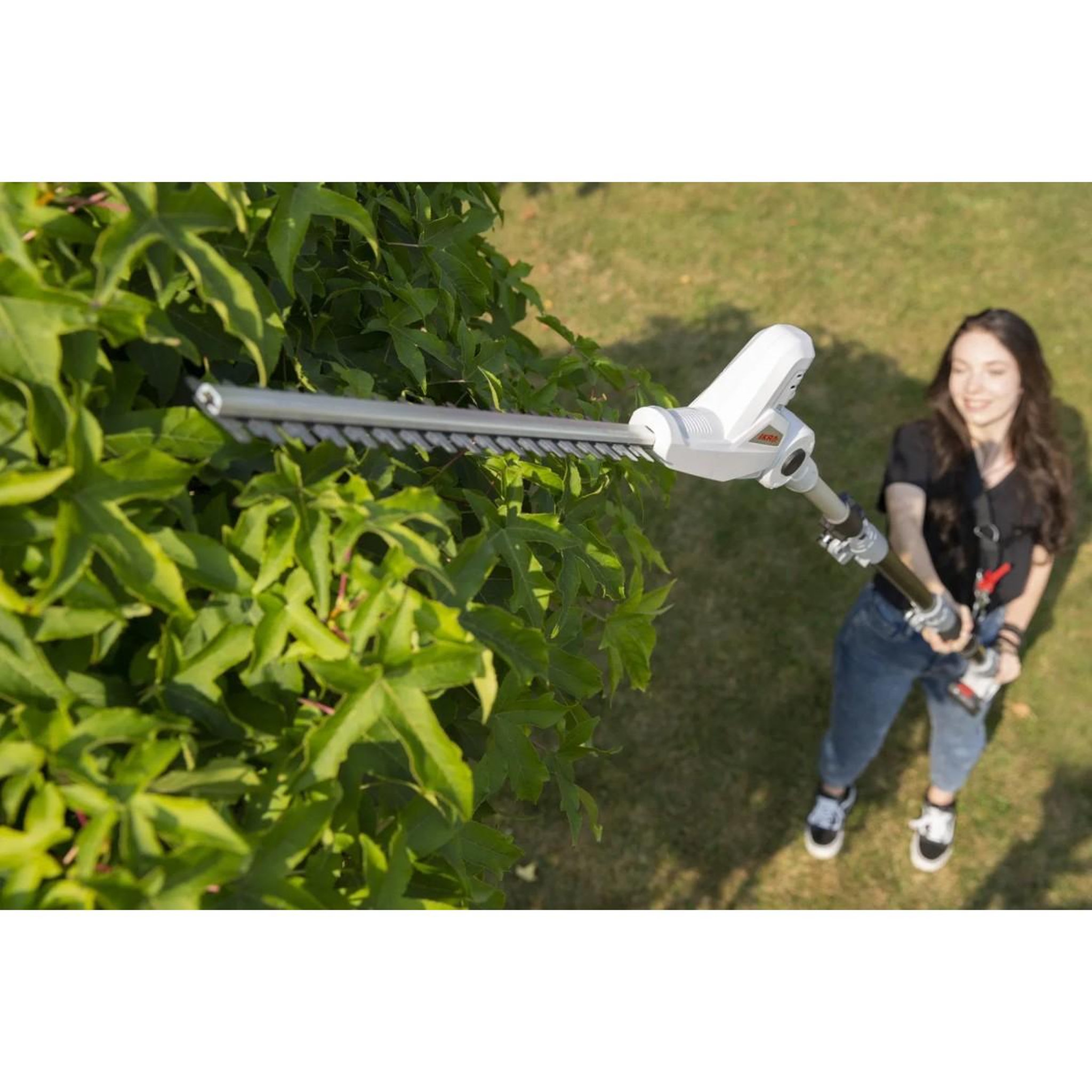 Voir la diapositive 3 : Ikra Taille haie sur perche téléscopique 20v - coupe longueur 40 cm - batterie lithium 2.0ah chargeur 20v - ikra