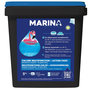 Voir la diapositive 1 : MARINA Galets bi-couche chlore multifonction lent et rapide 250g 5kg - 888279