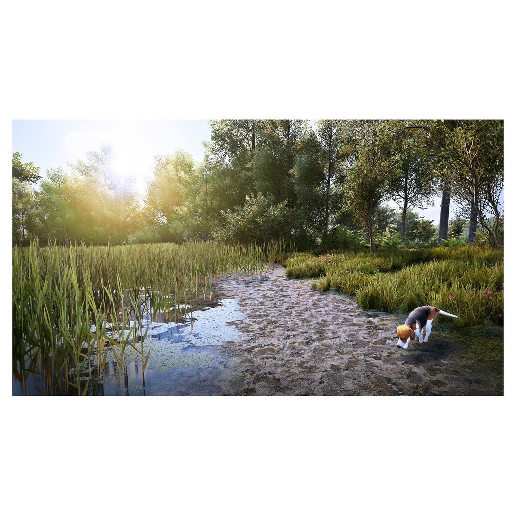 Voir la diapositive 6 : Hunting Simulator 2 PS5