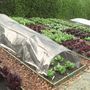 Voir la diapositive 4 : Garden Tunnel de forçage 4m avec 3 housses 4 saisons