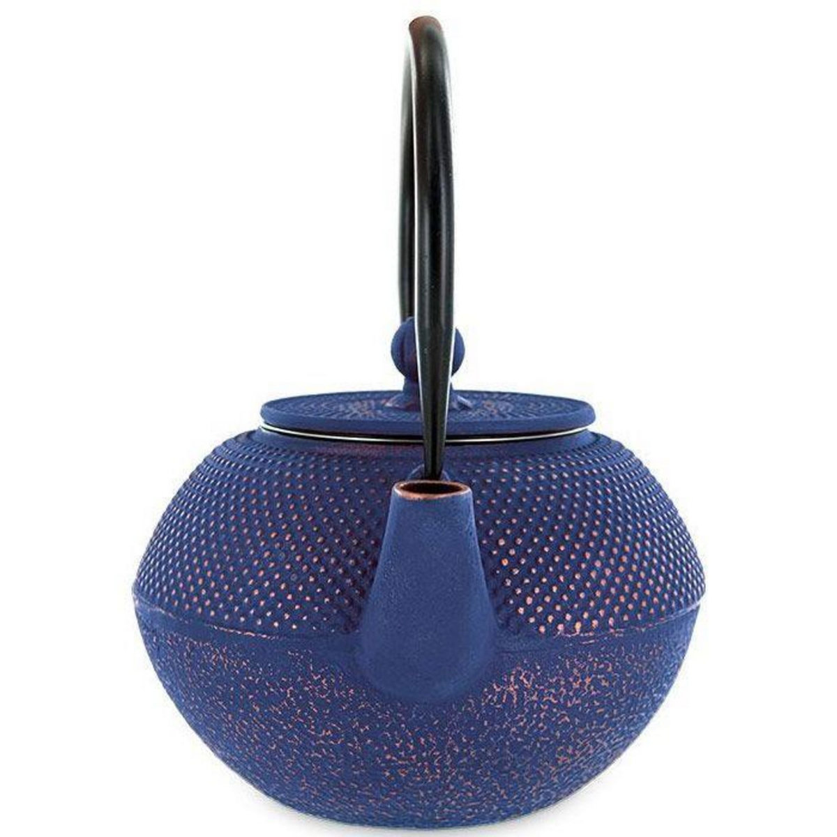 Aromandise Théière en fonte chinoise Song - 1,2 L