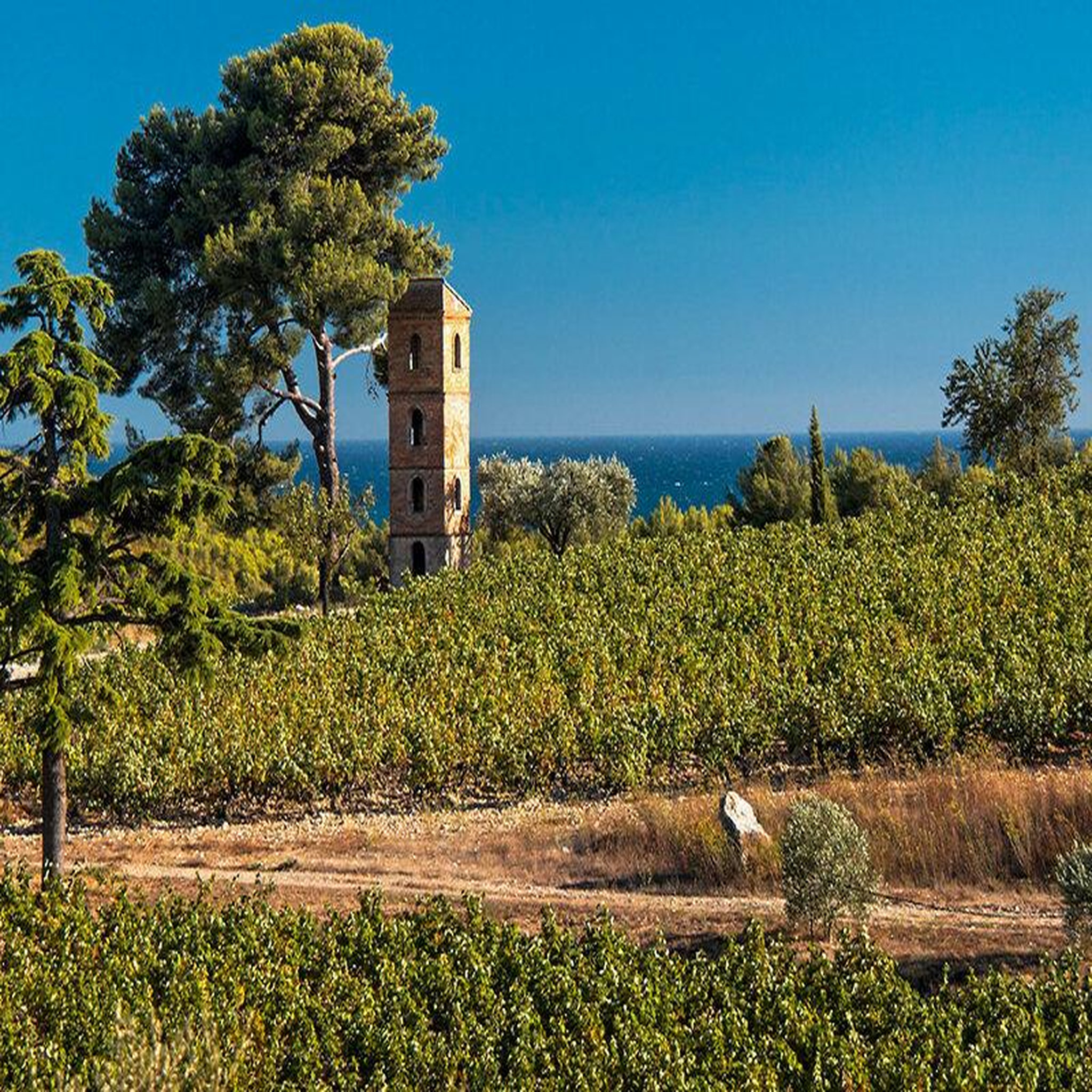 Voir la diapositive 2 : Smartbox Dégustation et découverte viticole dans un domaine d'exception près de toulon pour 2 personnes - coffret cadeau gastronomie