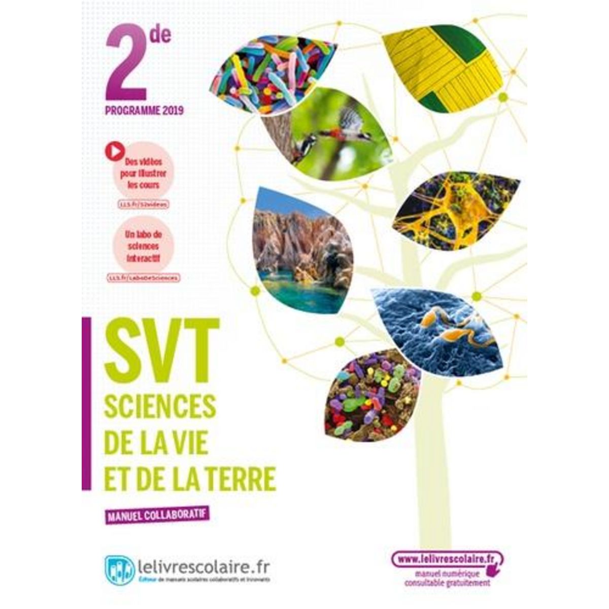 SVT 2E. MANUEL DE L'ELEVE, EDITION 2019, Olive Claire