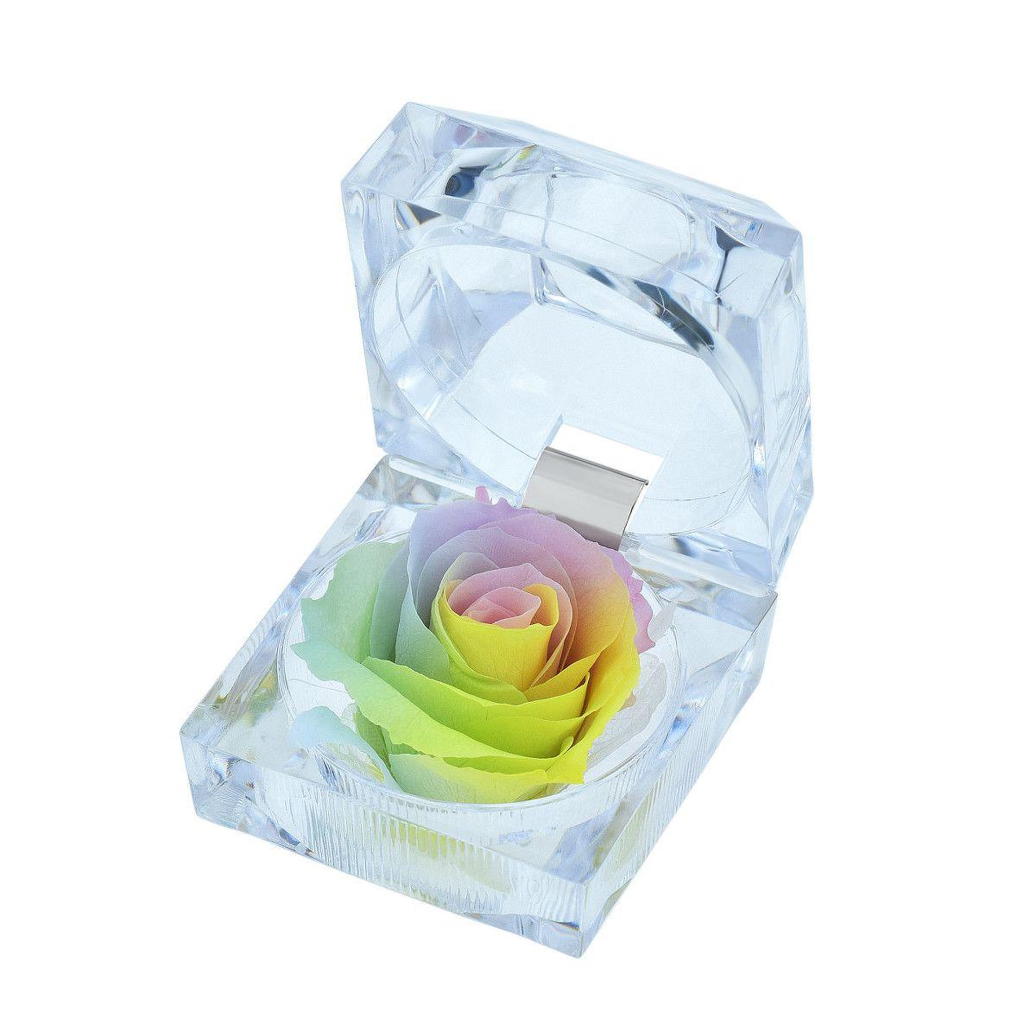 SC CRYSTAL Rose éternelle multicolore
