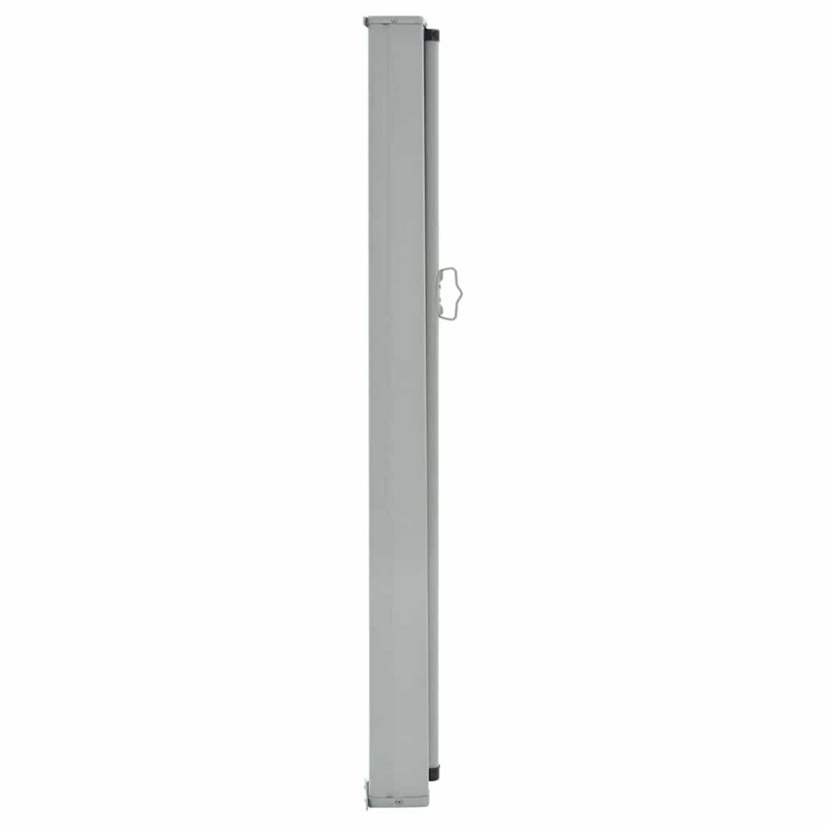 VIDAXL Auvent lateral retractable de patio 100x300 cm Marron
