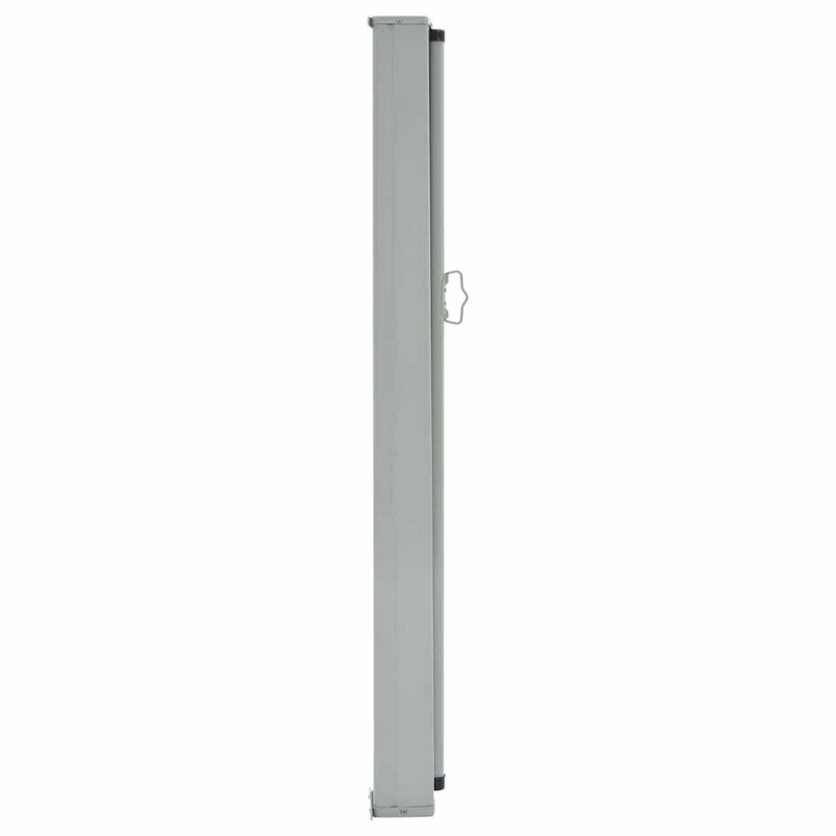 VIDAXL Auvent lateral retractable de patio 100x300 cm Marron