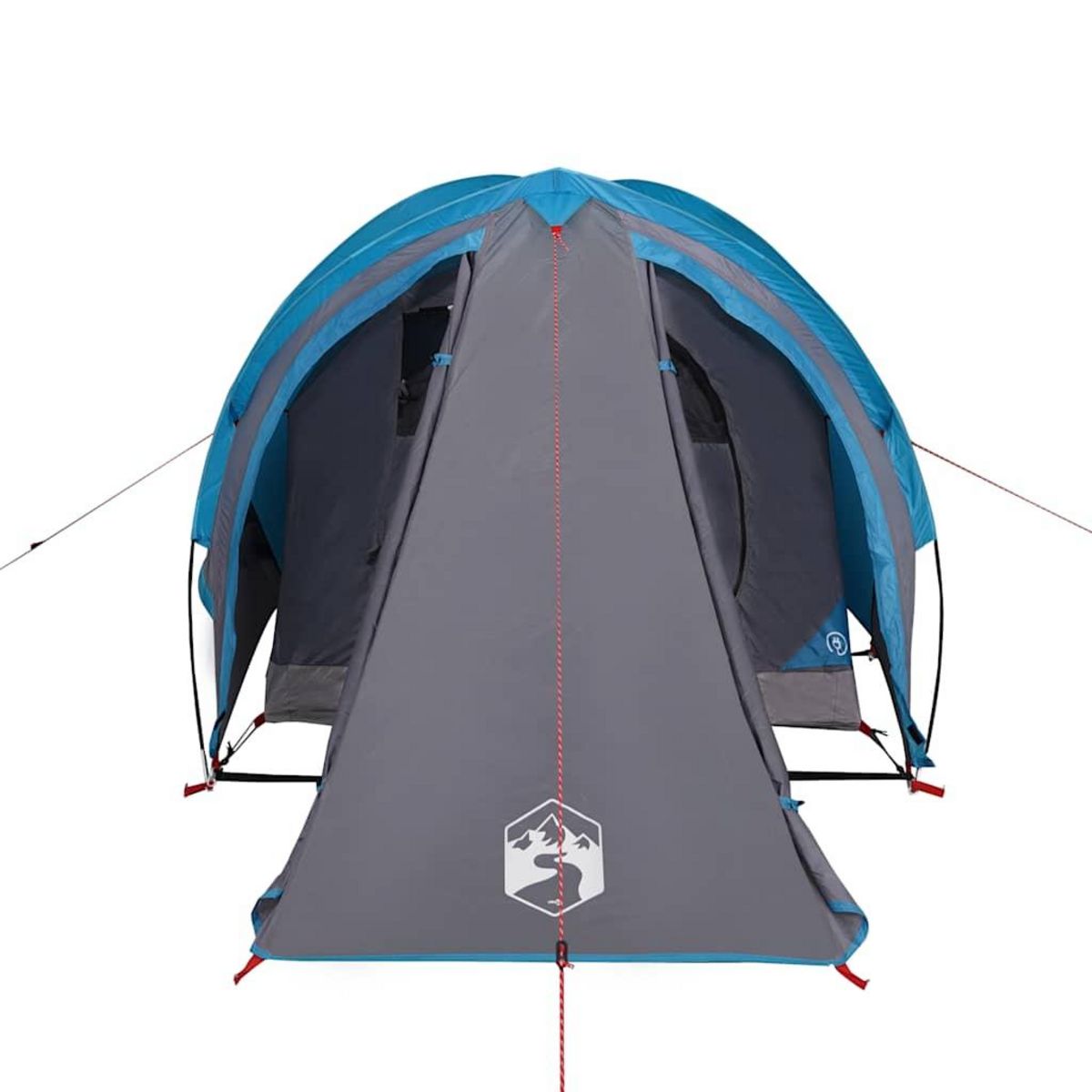 VIDAXL Tente de camping a dome 2 personne bleu impermeable