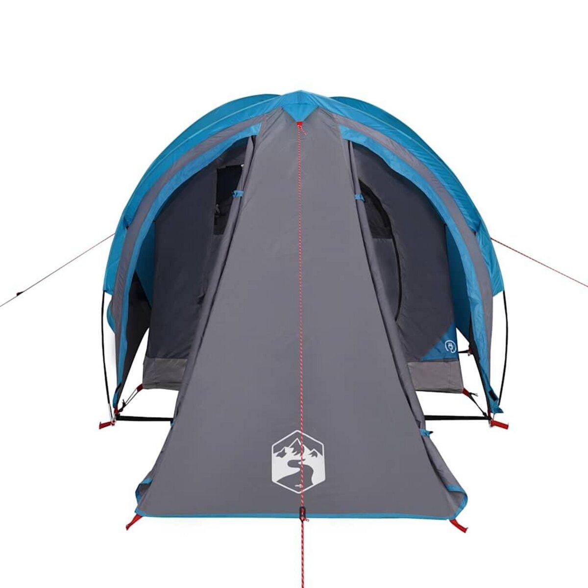 VIDAXL Tente de camping a dome 2 personne bleu impermeable