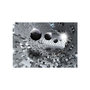 Voir la diapositive 2 : Paris Prix Papier Peint  Puzzle Tunnel