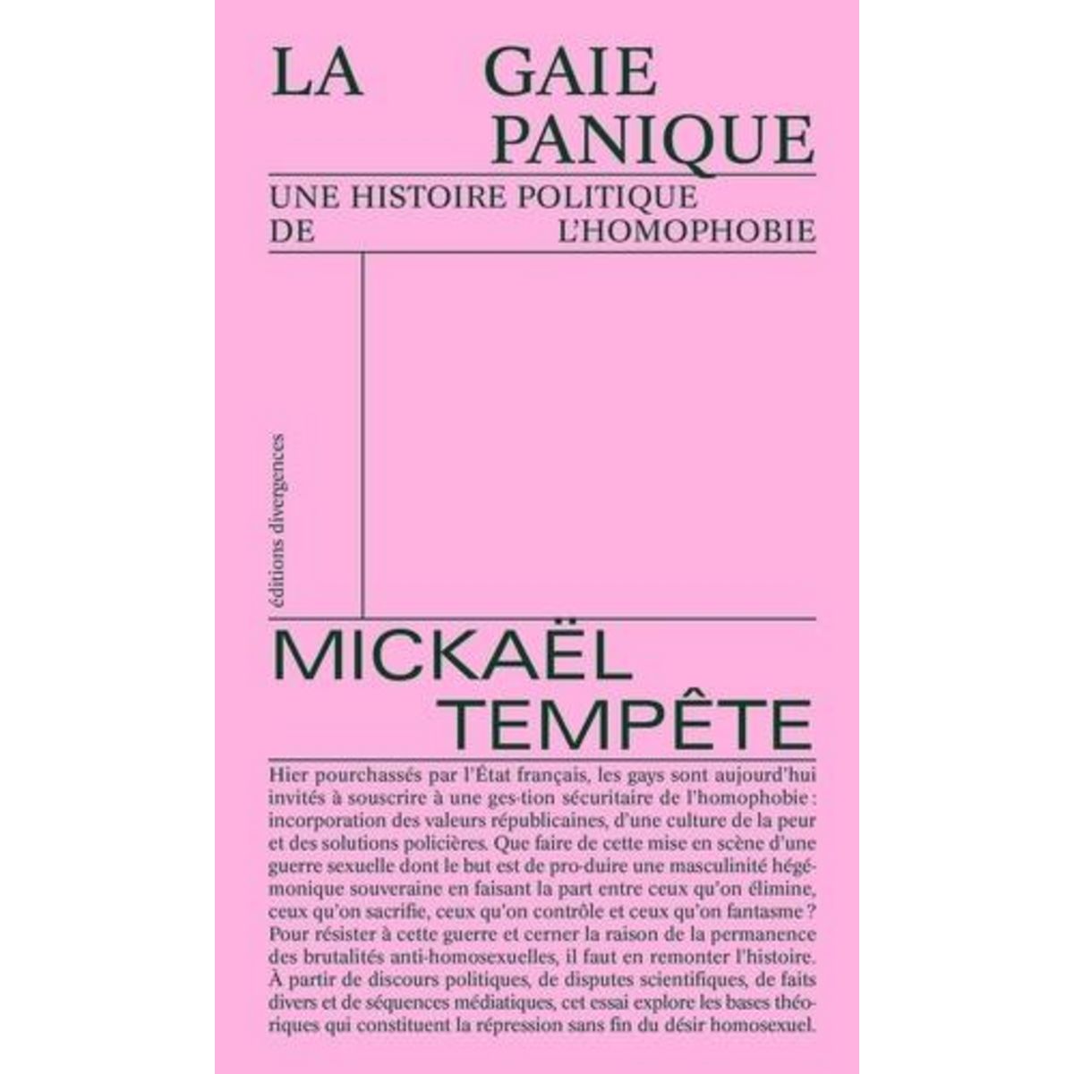 LA GAIE PANIQUE. UNE HISTOIRE POLITIQUE DE L'HOMOPHOBIE, Tempete Mickael