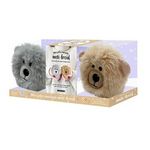 MES JOLIS OURSONS ANTI-FROID. COFFRET AVEC 2 BOUILLOTTES EN PELUCHE ET 1 LIVRE DE CONSEILS, Pichard Marie-Noëlle