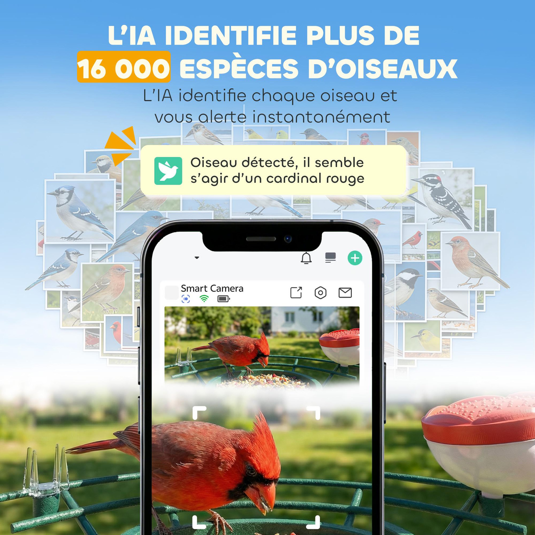 Voir la diapositive 5 : PAWHUT Mangeoire oiseaux avec caméra solaire 3m pixels reconnaissance ia grand angle 142° - 30 x 34 x 26 cm - métal vert