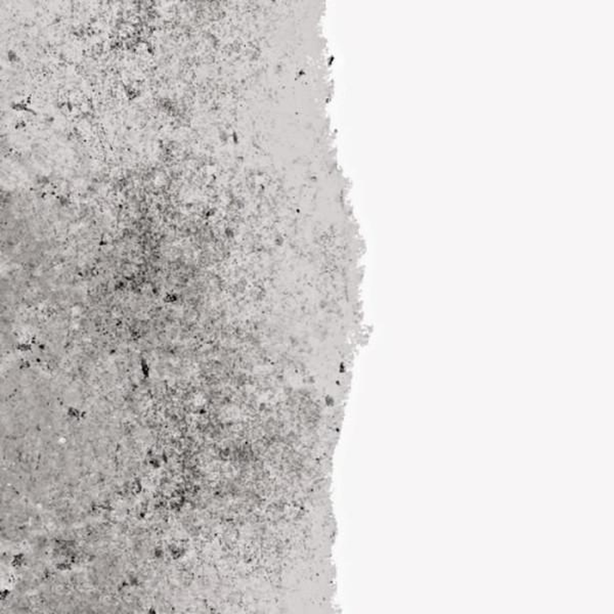 Voir la diapositive 2 : RIPOLIN Sous couche anti-humidité mat blanc 2,5l ripolin
