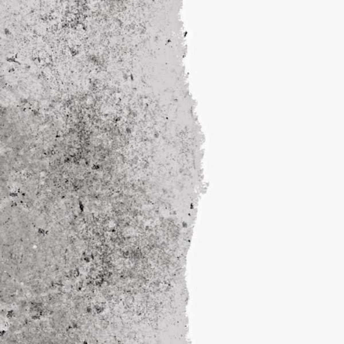 RIPOLIN Sous couche anti-humidité mat blanc 2,5L Ripolin