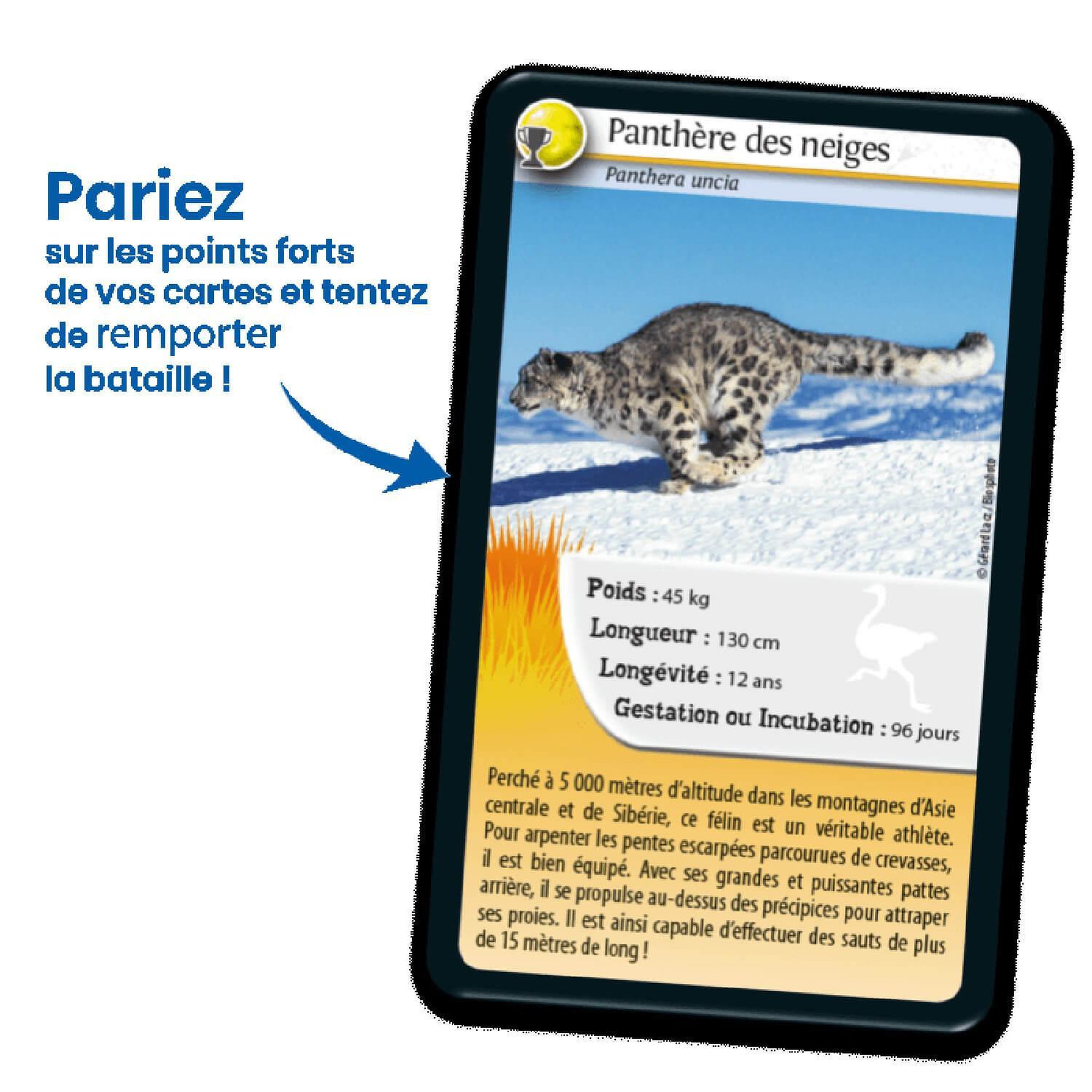 Voir la diapositive 4 : Bioviva Défis nature - records des animaux