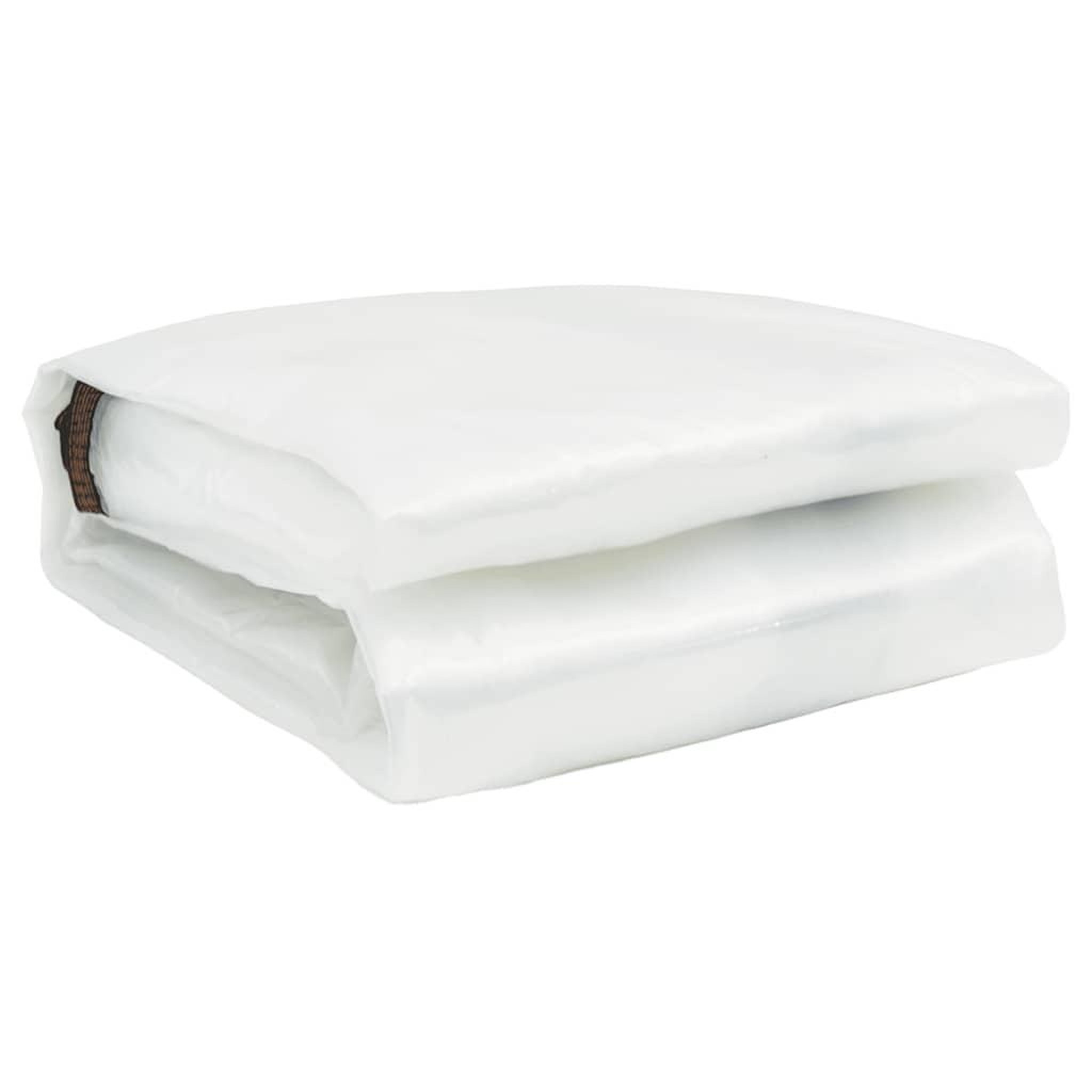 Voir la diapositive 4 : VIDAXL Bache transparente avec œillets 12x12 m polyethylene