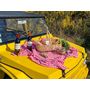 Voir la diapositive 2 : Smartbox Visite d'un vignoble bordelais en Jeep ou en Méhari avec pique-nique sur le domaine - Coffret Cadeau Gastronomie