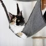 Voir la diapositive 3 : KERBL Kerbl Arbre a chats mural Dolomit 2.0 Tofana Gris 160 cm 81545